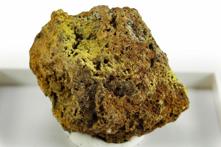 Rare Bright Yellow Humboldtine on Matrix - Montana #380518